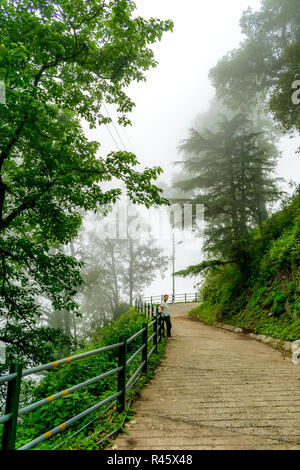 Eine misty Serpentinenstraße auf dem Berge Landour Stockfoto