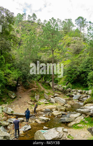 Weg in Serpentinen durch den Wald, Trek zu Bhalu Gaad Wasserfall, Mukteshwar Stockfoto