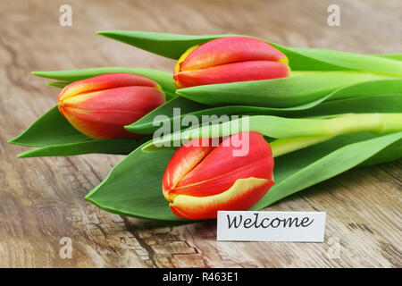 Karte mit drei roten Tulpen auf Holz- oberfläche Willkommen Stockfoto