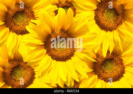Stockfoto