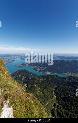 Blick vom Schafberg (Salzkammergut) Stockfoto