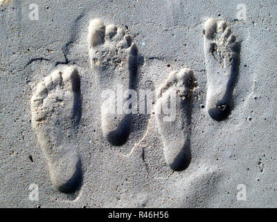Spuren im Sand - Seychellen Stockfoto