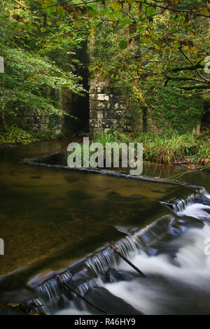 Am nächsten Morgen einen frühen Herbst Bild zeigt einige der alten Gebäude und Wasserwegen in den alten Schießpulver funktioniert, Kennall Vale Ponsanooth, Cornwall gefunden Stockfoto