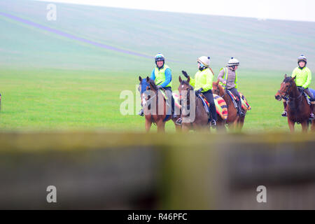 2018-11-24, Newmarket Suffolk UK. Pferde zurück zu Fuß zu Ihren Ställen am frühen Morgen nach dem Warren Hill ausgeübt werden. Stockfoto