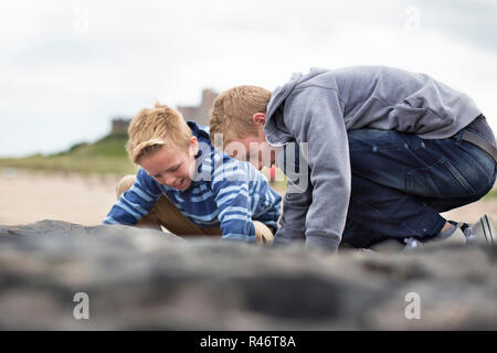 Auf der Suche nach Kreaturen Stockfoto