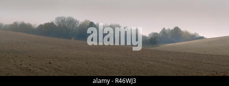 Landwirtschaftliches Feld auf einem nebligen Tag Stockfoto