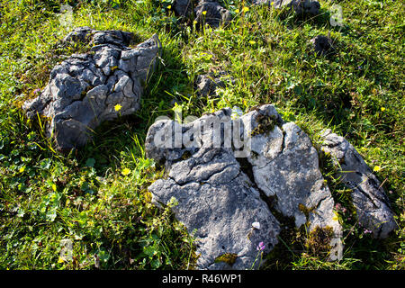 Sicht auf die Berge rocaks und Pflanzen. Das Bild wird in Trabzon/Rize Bereich der Schwarzmeerregion im Nordosten der Türkei erfasst. Stockfoto