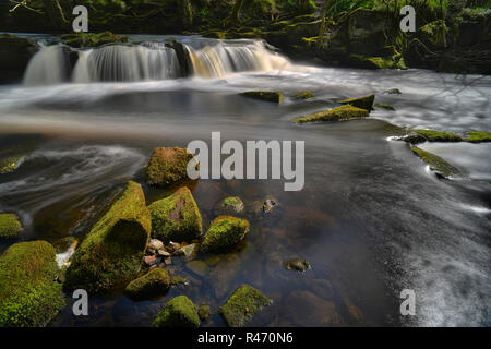 Der Wasserfall im Yorkshire Brücke über den Fluss Derwent (6) Stockfoto