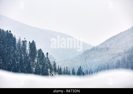 Mehrschichtige Berg Winterlandschaft. Pisten und immergrünen Wälder mit Schnee bedeckt. Snowy Kiefer und Tanne Wald. Schneefall in einer kalten, frostigen Tag in den Bergen Schlucht. Weihnachten Hintergrund. Stockfoto