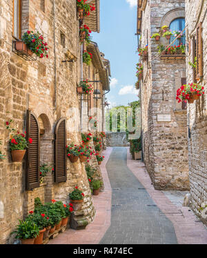 Ein malerischer Anblick in Assisi. Provinz Perugia, Umbrien, Italien. Stockfoto
