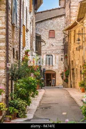 Ein malerischer Anblick in Assisi. Provinz Perugia, Umbrien, Italien. Stockfoto