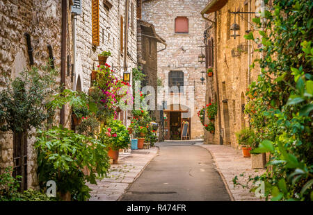 Ein malerischer Anblick in Assisi. Provinz Perugia, Umbrien, Italien. Stockfoto