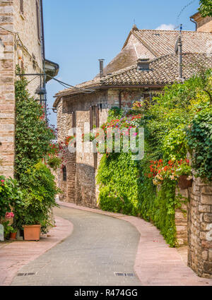 Ein malerischer Anblick in Assisi. Provinz Perugia, Umbrien, Italien. Stockfoto