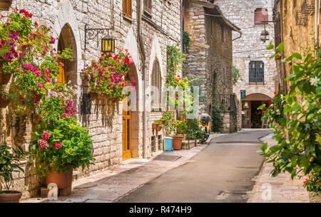 Ein malerischer Anblick in Assisi. Provinz Perugia, Umbrien, Italien. Stockfoto