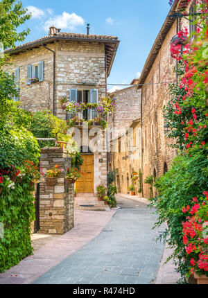 Ein malerischer Anblick in Assisi. Provinz Perugia, Umbrien, Italien. Stockfoto