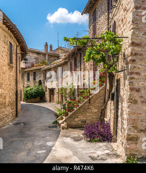 Ein malerischer Anblick in Assisi. Provinz Perugia, Umbrien, Italien. Stockfoto