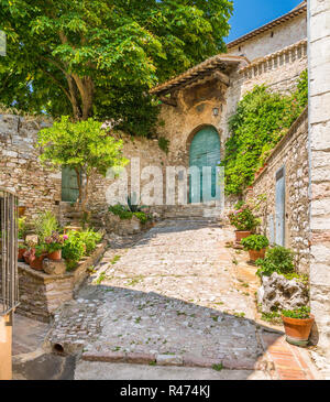 Ein malerischer Anblick in Assisi. Provinz Perugia, Umbrien, Italien. Stockfoto