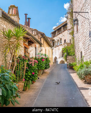 Ein malerischer Anblick in Assisi. Provinz Perugia, Umbrien, Italien. Stockfoto