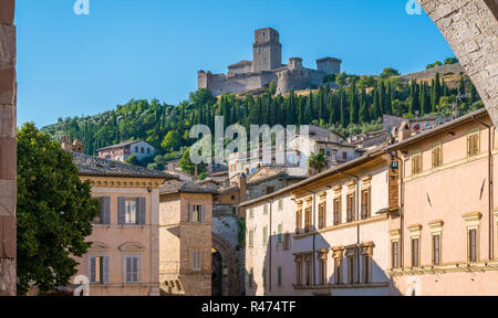Malerische Aussicht in Assisi mit der Rocca Maggiore und Olivenbäumen. Umbrien, Italien. Stockfoto