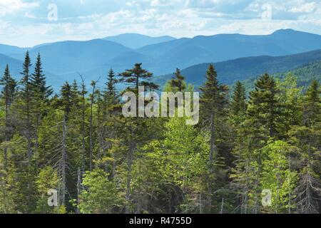 Narbe Ridge, Kancamangus Autobahn, Lincoln, New Hampshire, Berge, weiße Berge, National Forest, hohen Bäumen, Blue Mountains, Höhe, Höhe, Stockfoto