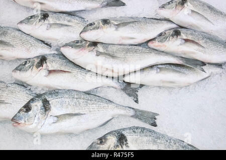 Viel Fisch die Dorade liegt auf Eis auf einem Zähler im Shop Stockfoto