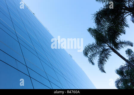 Low Angle View der modernen Glasfassade mit Palmen und blauem Himmel im Hintergrund. Stockfoto