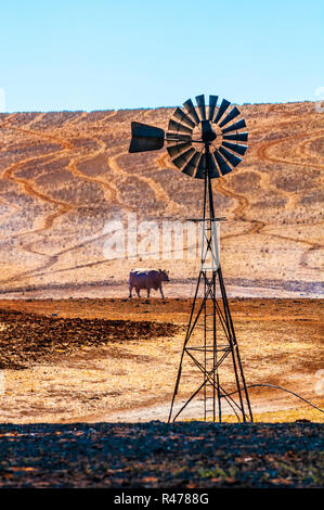 Landwirtschaft im australischen Outback Stockfoto