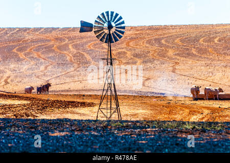 Australische karge Outback Landschaft Feuer, buring, Zerstörung Stockfoto