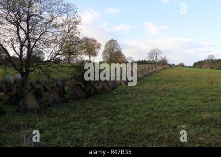 Dragon Zahn Anti Tank Verteidigung Weltkrieg zwei in Belgien Stockfoto