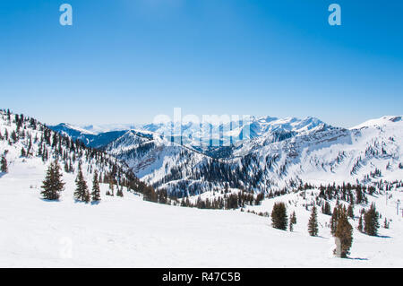 Snowy Riges hinter Hidden Peak Stockfoto