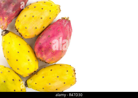 Rot Gelb kaktusfeige oder Opuntia auf weißem Hintergrund mit Kopie Platz für Ihren Text isoliert. Ansicht von oben. Flach Stockfoto