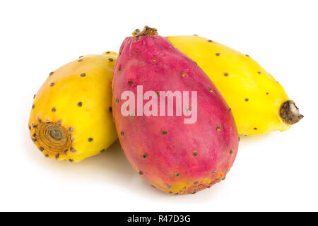 Rot Gelb kaktusfeige oder Opuntia auf weißem Hintergrund Stockfoto