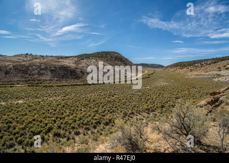 Inter-berg Becken Big sagebrush Shrubland in Rio Blanco County, Colorado, USA. Stockfoto