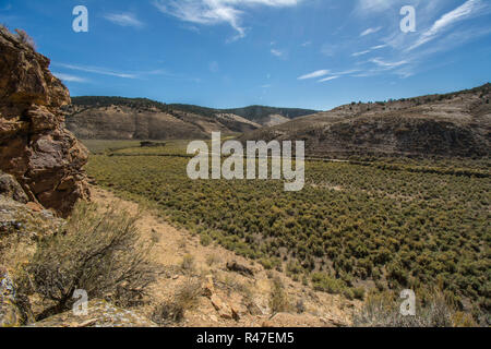 Inter-berg Becken Big sagebrush Shrubland in Rio Blanco County, Colorado, USA. Stockfoto