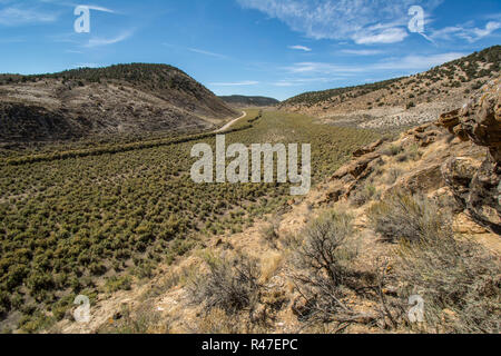 Inter-berg Becken Big sagebrush Shrubland in Rio Blanco County, Colorado, USA. Stockfoto