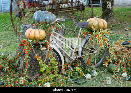 Alten rostigen Fahrrad mit Blumen, Kürbisse und andere Gemüse gegen einen Baumstamm lehnte in einem Garten eingerichtet Stockfoto