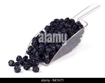 Eine Handvoll schwarze Trauben in einem plastikeimer auf weißem Hintergrund isoliert getrocknet. Stockfoto