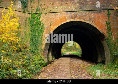 Farbfoto eines kleinen Teils der Castleman trailway durch eine viktorianische Eisenbahntunnel. Stockfoto