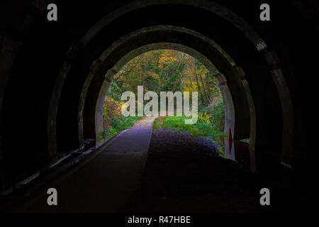 Farbfoto eines kleinen Teils der Castleman trailway innerhalb einer viktorianischen Eisenbahntunnel. Stockfoto