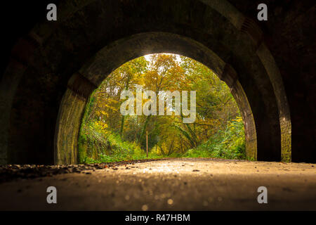 Farbfoto eines kleinen Teils der Castleman trailway innerhalb einer viktorianischen Eisenbahntunnel. Stockfoto