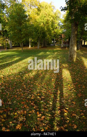 Herbst im Burggarten Stockfoto