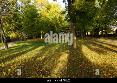 Herbst im Burggarten Stockfoto