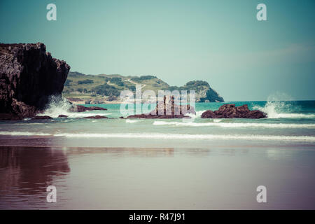 Happy Berner Sennen Hund draußen spielen und laufen in einer Dünenlandschaft. Natur genießen. stürmischer Tag. Stockfoto