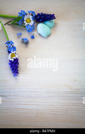 Vergiss mich nicht Hintergrund mit Gänseblümchen und Traubenhyazinthen Stockfoto