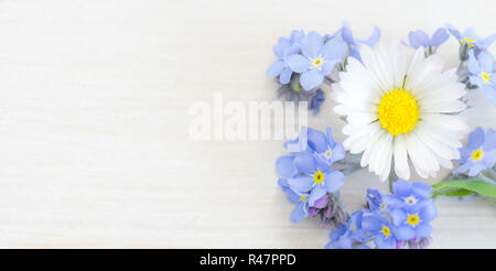 Vergiss mich nicht Hintergrund mit Gänseblümchen und Traubenhyazinthen Stockfoto