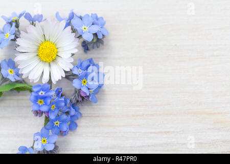 Vergiss mich nicht Hintergrund mit Gänseblümchen und Traubenhyazinthen Stockfoto