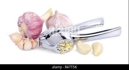 Köpfe von jungen und ausgereiften Knoblauch, ungeschält und geschälten Knoblauchzehen, in einem speziellen Masher zerkleinert, auf weißem Hintergrund. Stockfoto