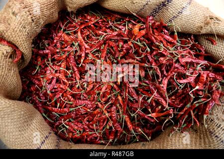 Korb mit getrockneten roten Chilischoten auf dem Gewürzmarkt von Jaipur, Rajasthan, Indien Stockfoto