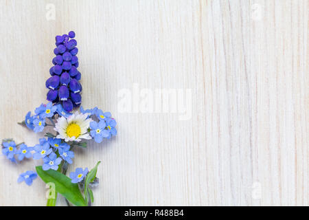 Vergiss mich nicht Hintergrund mit Gänseblümchen und Traubenhyazinthen Stockfoto