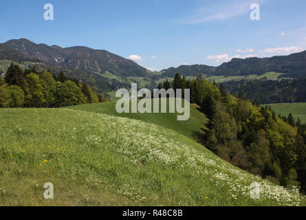 Rund um den Achensee in Österreich - Das karwendelgebirge Stockfoto